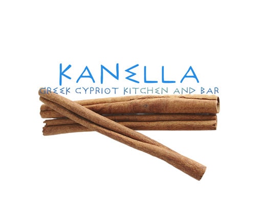 13429 geodir logo kanella south philadelphia logo