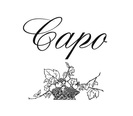 8560 geodir logo capo santa monica logo 2