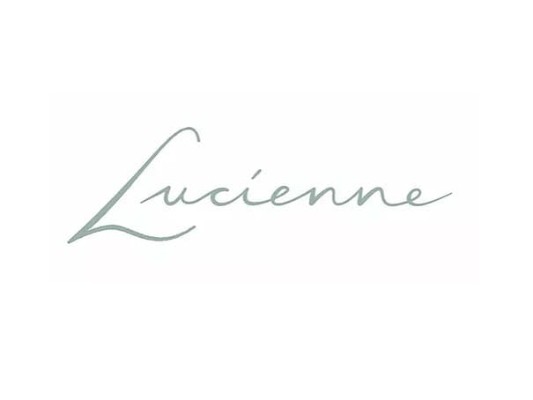 29273 geodir logo lucienne houston tx logo 1