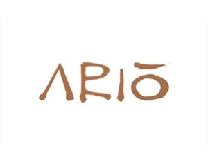 ario marco island fl logo 1 1 300x241