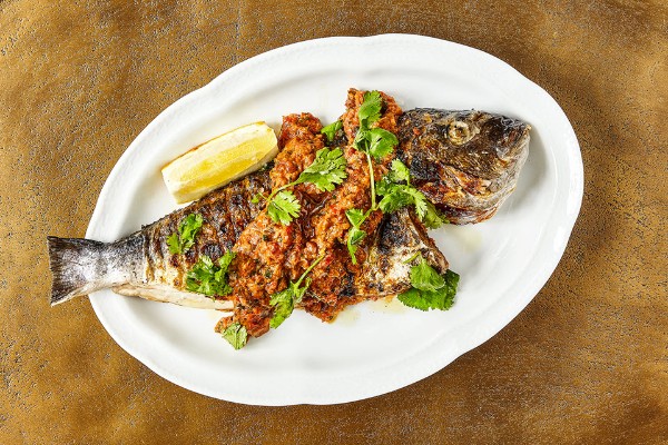 suraya-philadelphia-food-7