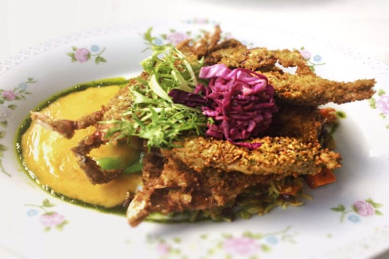 cedar knoll alexandria va food 4 768x512