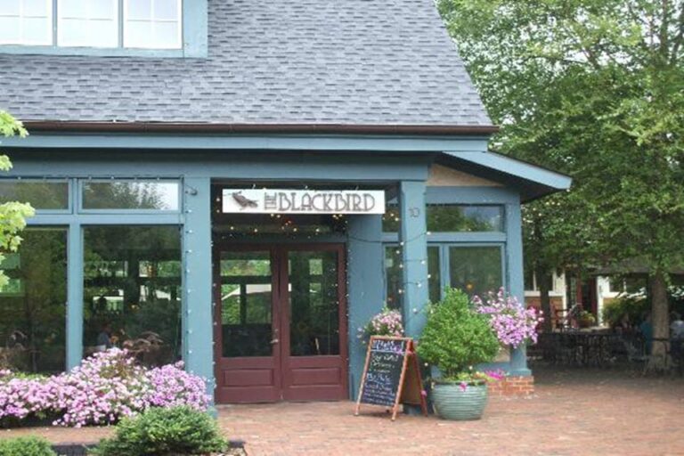 the blackbird asheville nc exterior 2 768x512