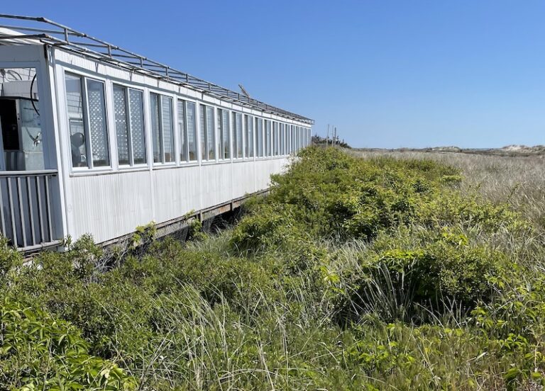 summer salt avalon nj exterior 1 1 768x552