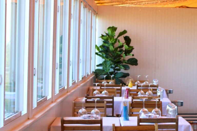 summer salt avalon nj interior 1 1 768x512