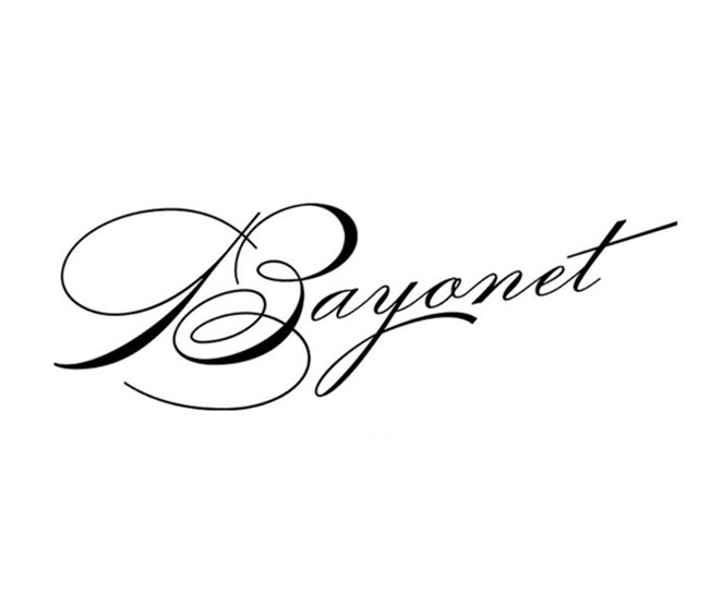 bayonet birmingham al logo 1 1